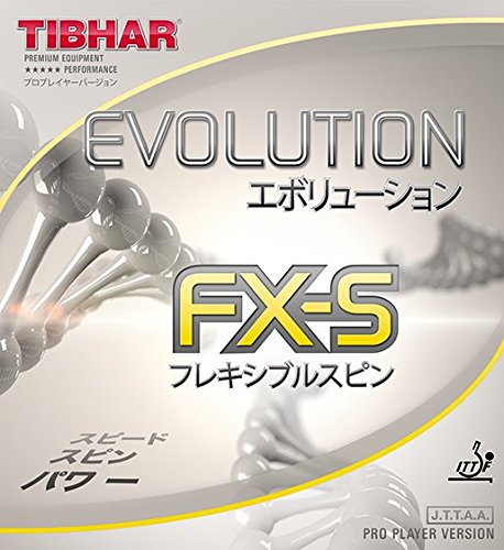 Evolution FX-S - Click Image to Close